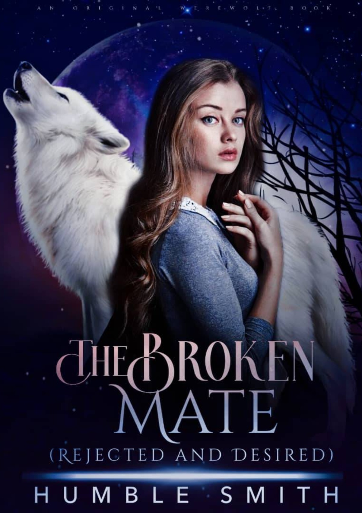 The Broken Mate - Rejected And Desired
