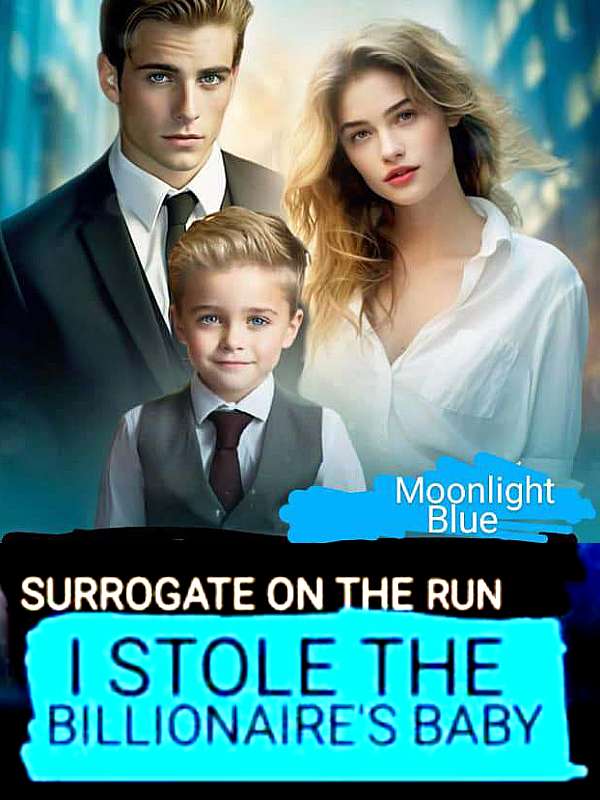 Surrogate On The Run: I Stole The Billionaire's Baby