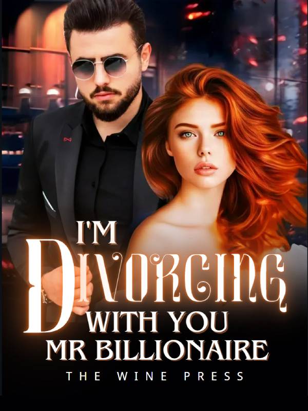 I'm Divorcing with You, Mr Billionaire!