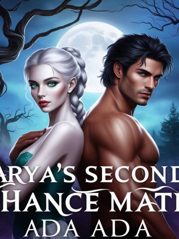Arya's Second Chance Mate