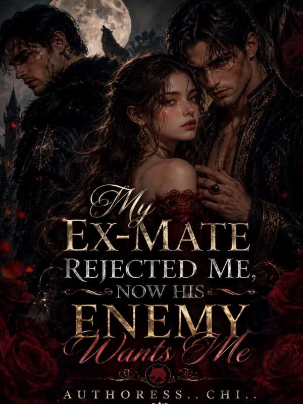 My Ex-mate Rejected Me, Now His Enemy Wants Me (book 1)